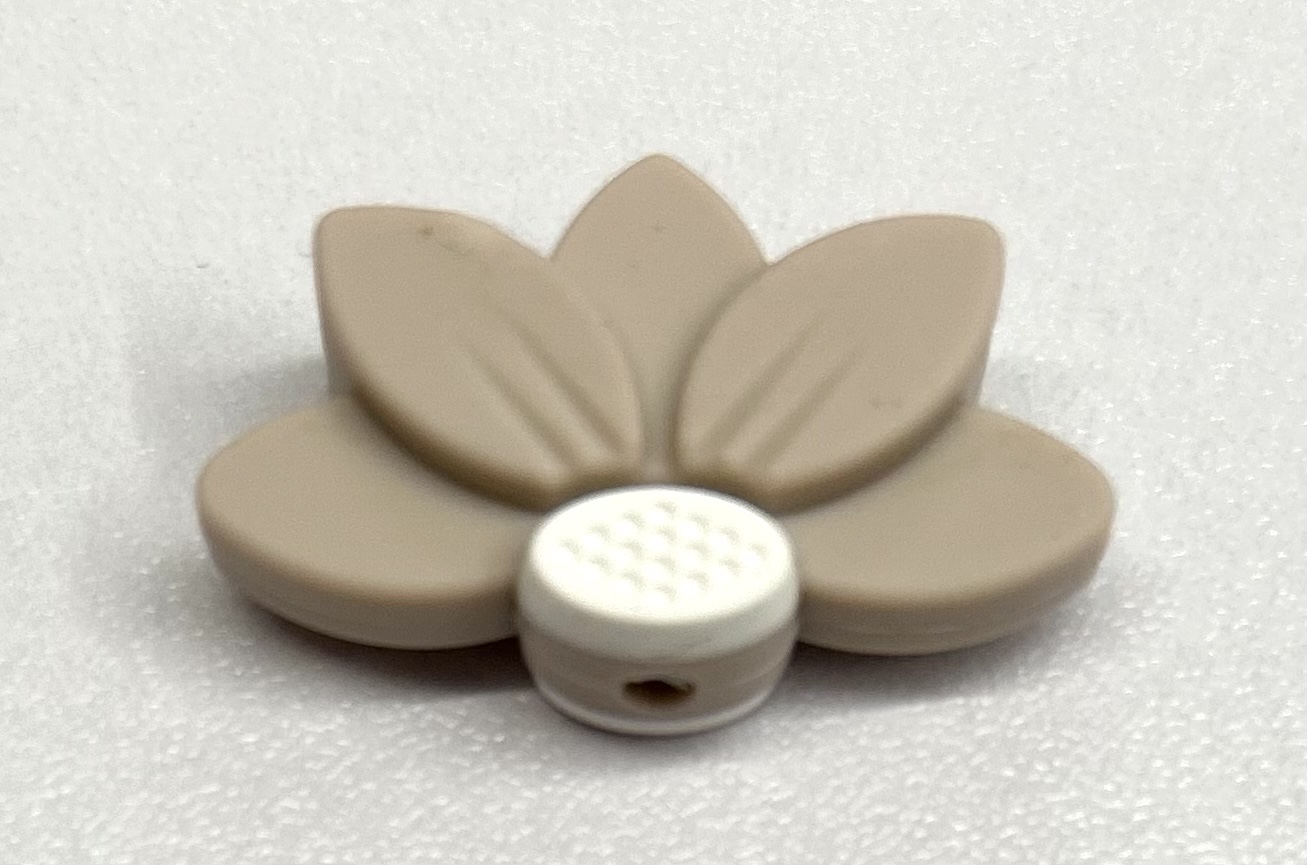 Blume „Lotus“ puderrosa 