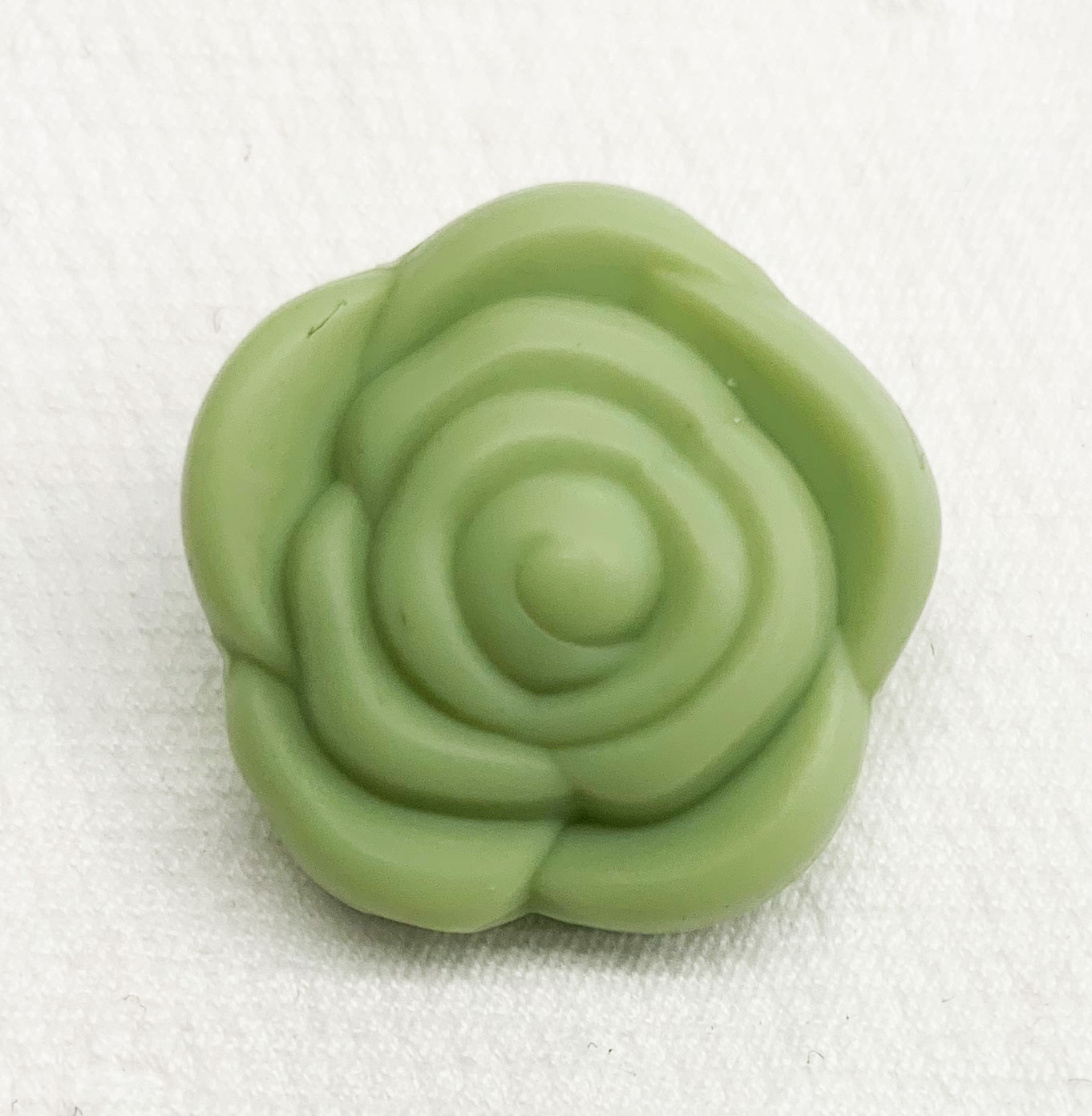 Beissmotiv Rose Aloe Vera 